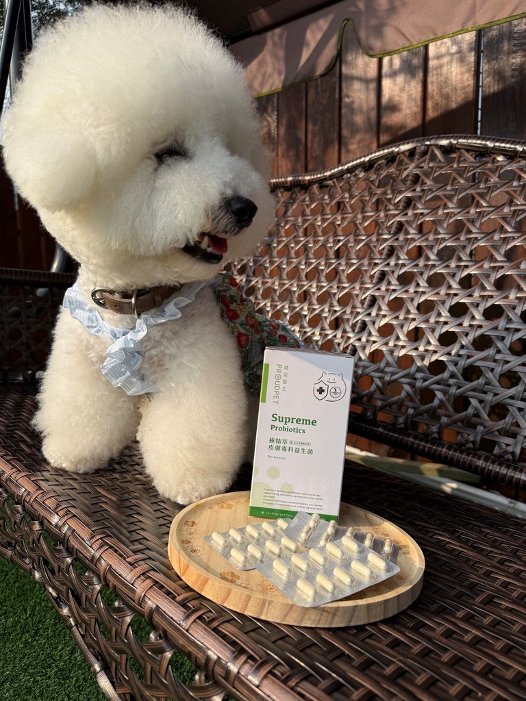 女人知己試用大隊,口碑行銷,部落客行銷,嬌寵醫生 極精萃 皮膚專科益生菌,保證新鮮活菌100億,皮膚保健益生菌,好吸收,幫助維持消化道機能,維持健康,可撥開膠囊使用以下方式均勻攪拌後，予以犬貓食用,●拌飼料　●拌罐頭　●拌鮮食　●拌肉泥,品牌創辦人是獸醫師，親自研發，吃得安心.放心,寵物預防醫學第一品牌,拒絕添加不必要成分